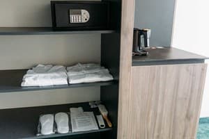 Отель Favor Park Hotel. Бизнес двухместный  8