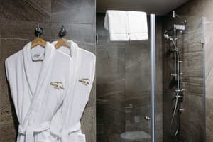 Отель Favor Park Hotel. Люкс двухместный  5